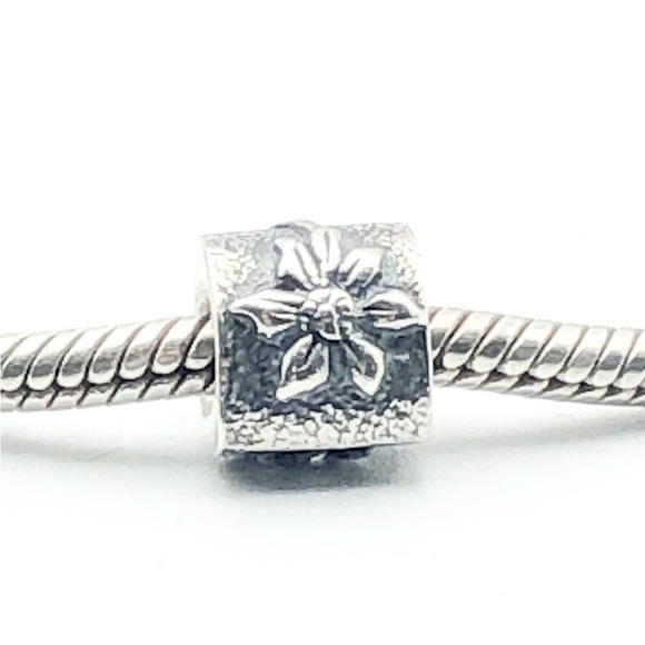 Pandora poinsettia - Picture 2 of 5